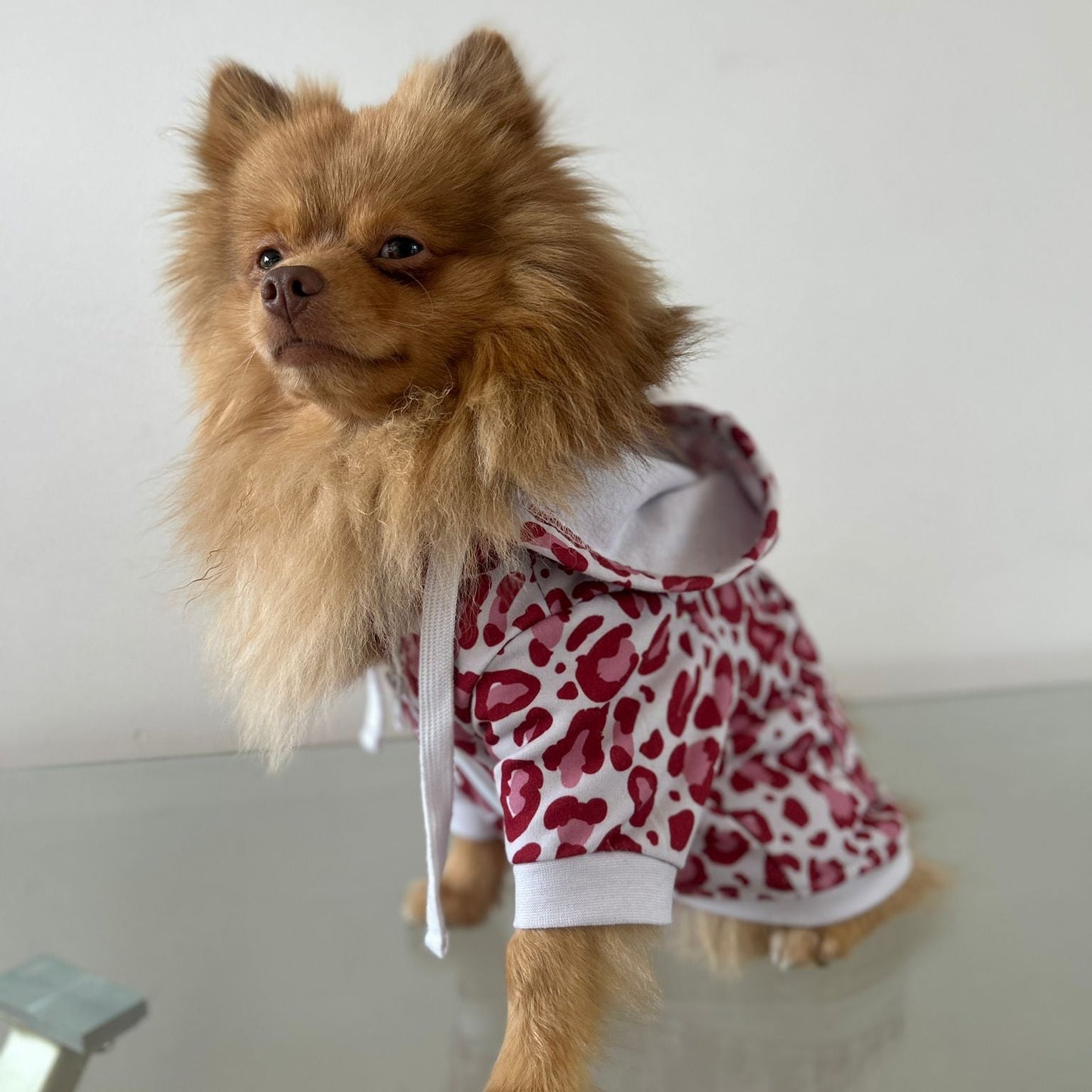 Dog wearing bubblegum leopard dog hoodie.