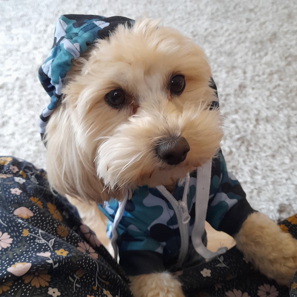 Cool pup rocking a classic aqua camo dog hoodie, featuring fresh tones and a sleek design for outdoor fun in style.