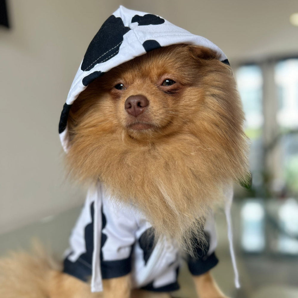 Cute dog wearing a classic cow-print hoodie, showcasing playful charm and ultimate comfort for every outing.