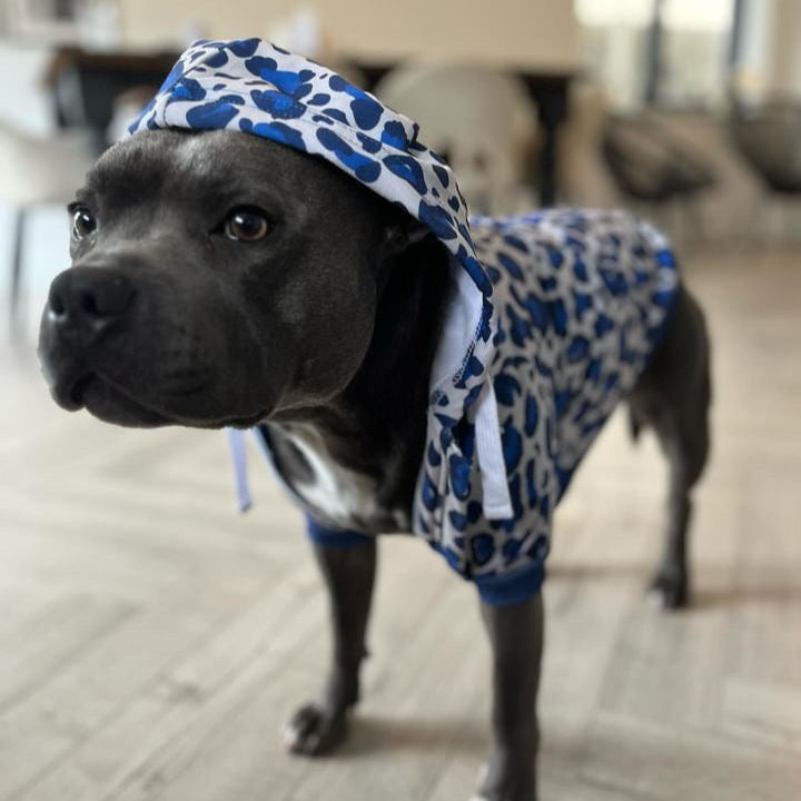 Dog wearing ocean-breeze leopard dog hoodie.