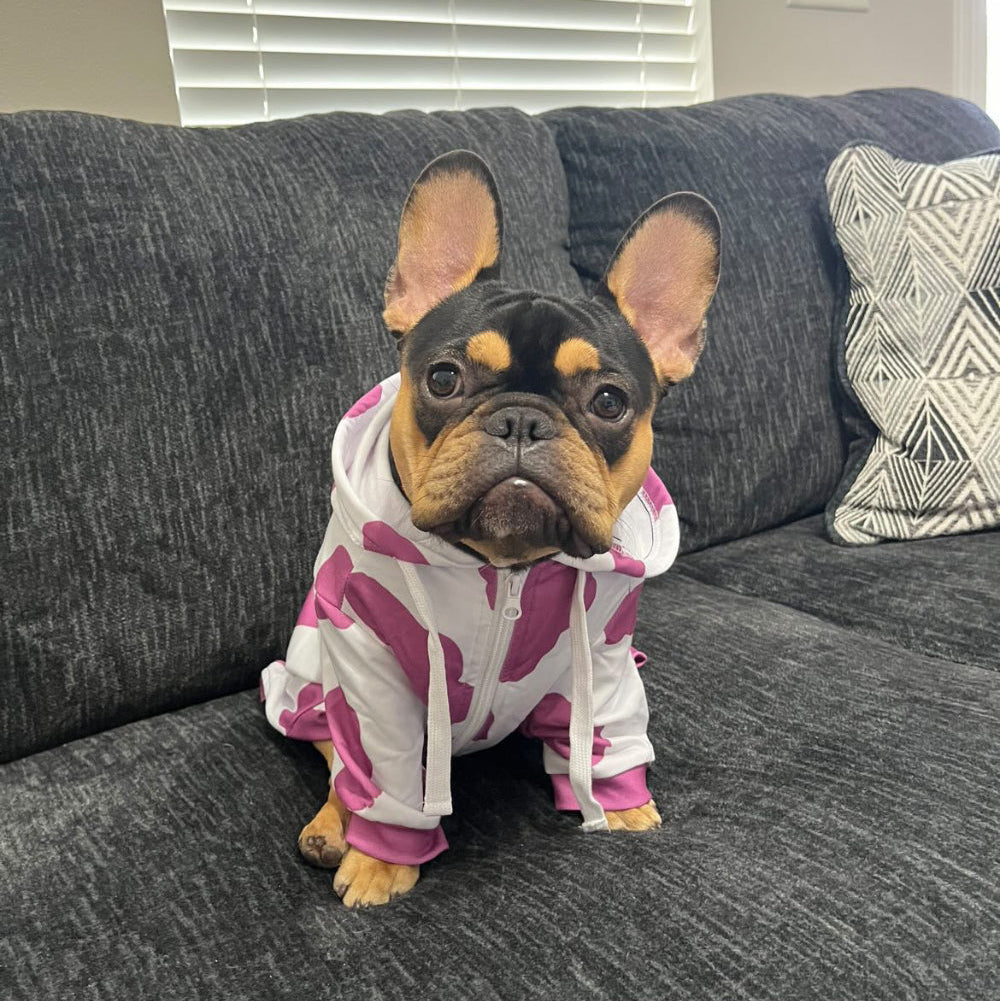 Dog wearing pink cow hoodie.