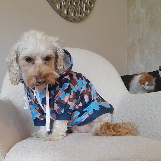 Dog wearing salmon-swirl camo hoodie.