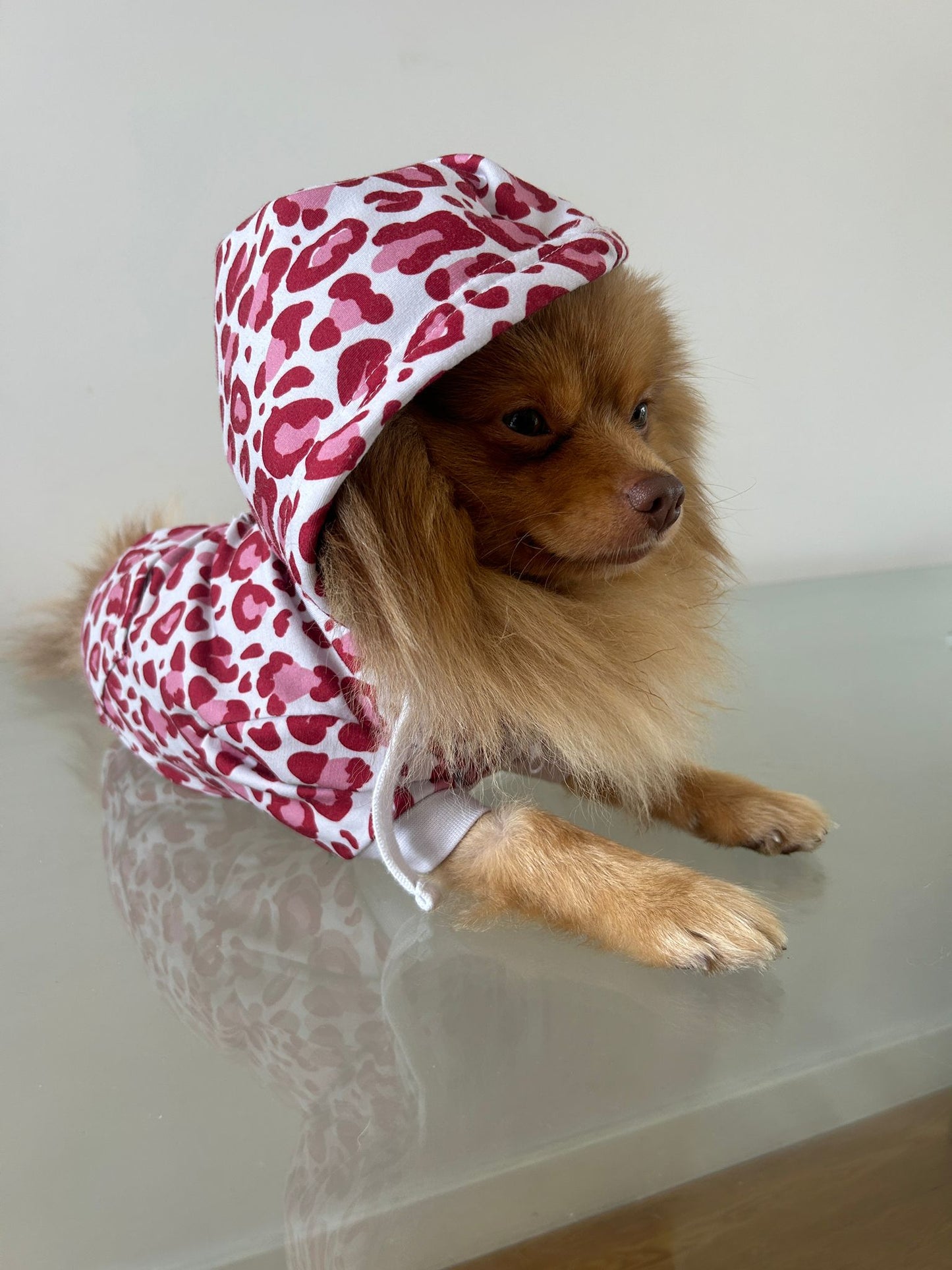 BUBBLEGUM LEOPARD DOG HOODIE